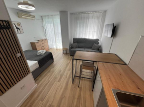 Estudio Torrevieja